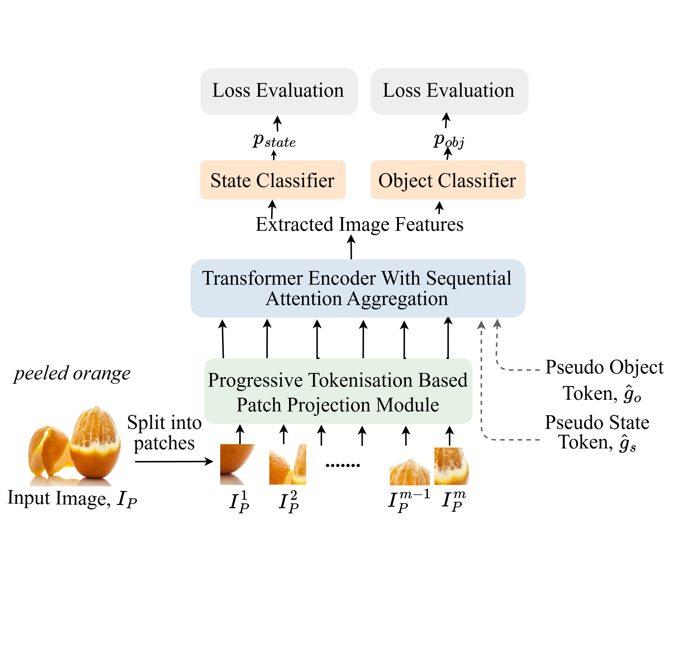 Knowledge guided transformer network summary